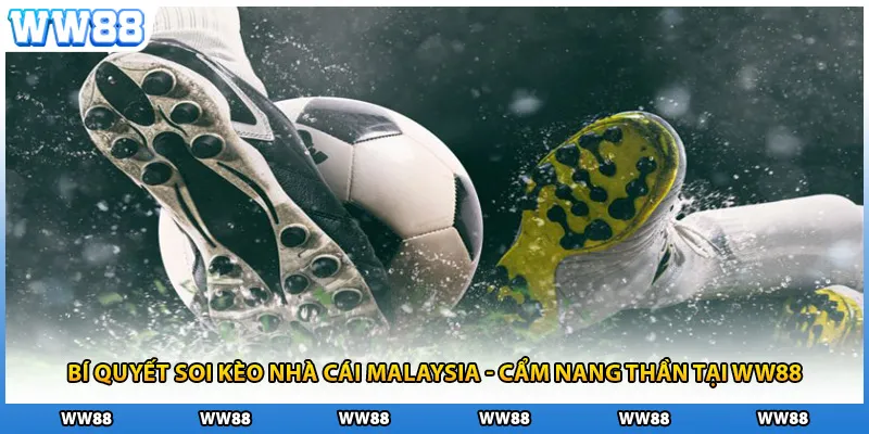 Bí Quyết Soi Kèo Nhà Cái Malaysia - Cẩm Nang Thần Tại WW88
