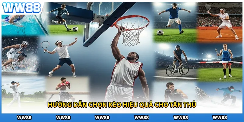 Hướng dẫn chọn kèo hiệu quả cho tân thủ