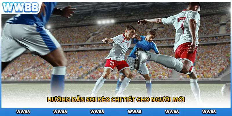 Hướng dẫn soi kèo chi tiết cho người mới