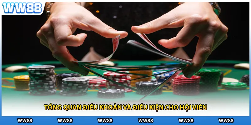 Tổng quan điều khoản và điều kiện cho hội viên